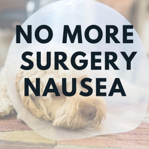  No More Surgery Nausea