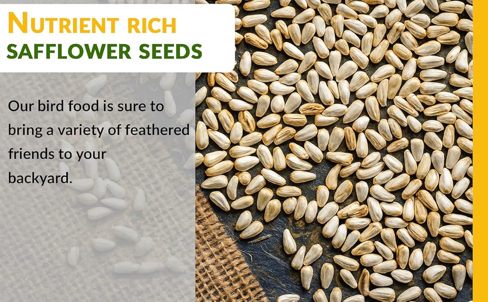 boltz safflower seeds for birds