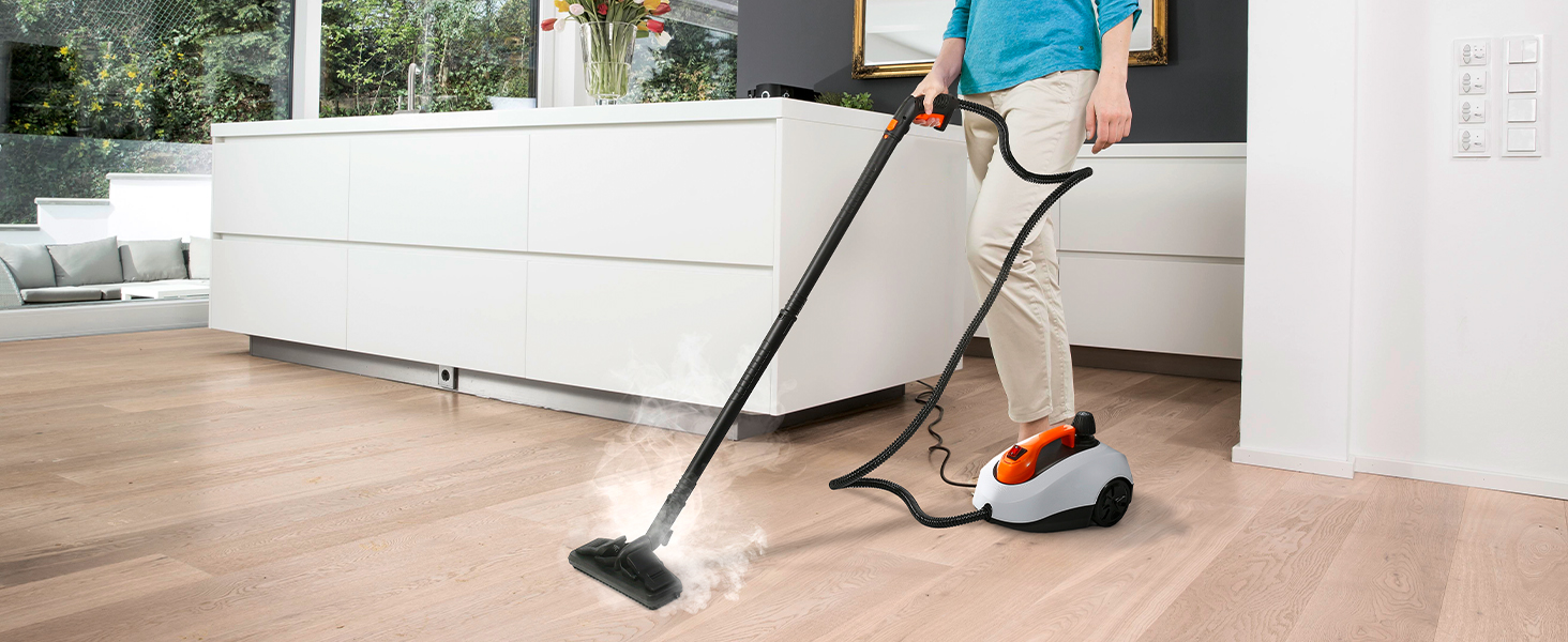 Steamer for Cleaning, WICHEMI 1800W High Temperature