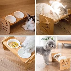 ニース