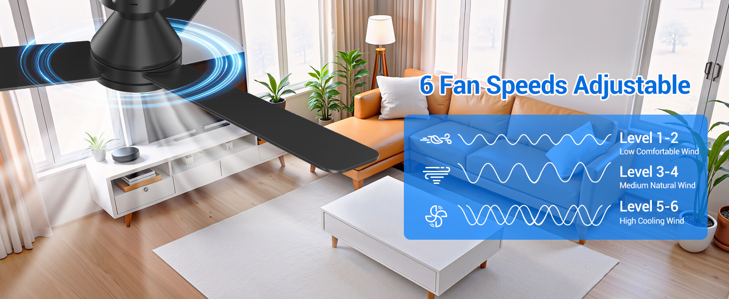 celling fan with lights