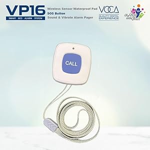 VP16