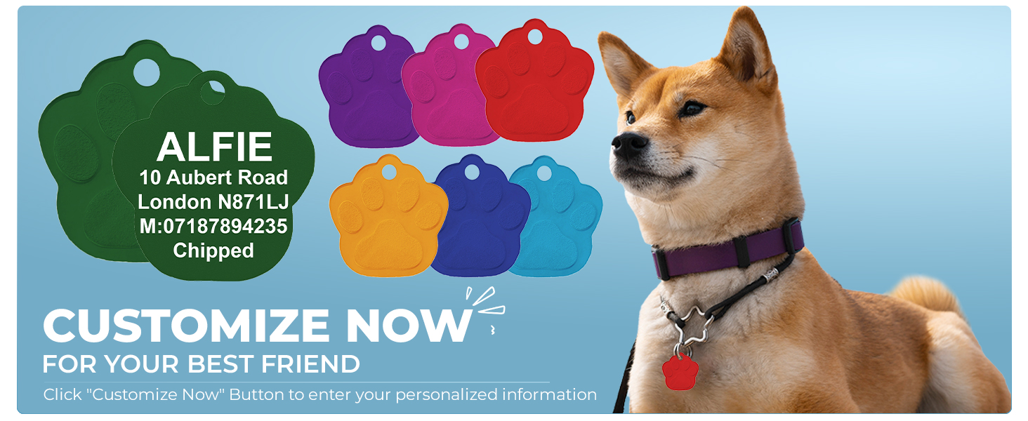 dog tag ID pat collar identity plate Customized Pet ID Tag with Split Ring 