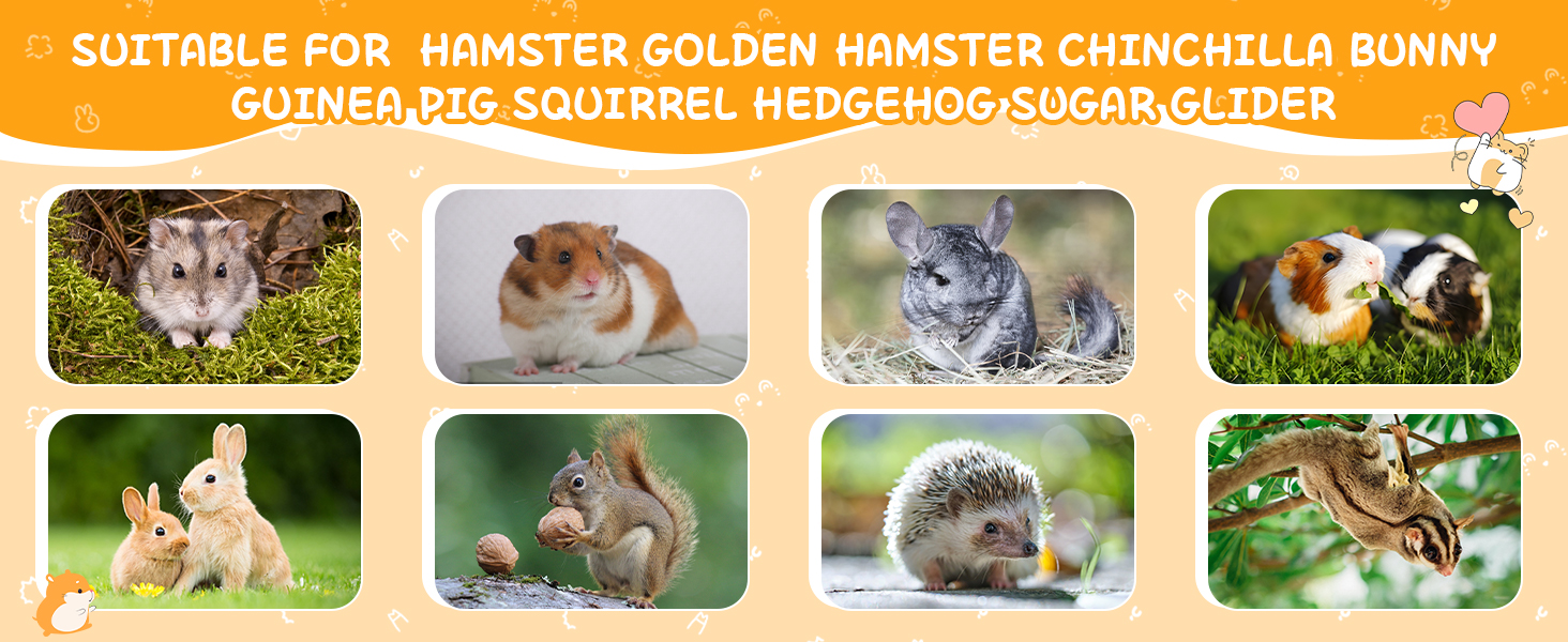Suitable for HAMSTER Golden Hamster CHINCHILLA Bunny Guinea Pig Squirrel Hedgehog Sugar Glider