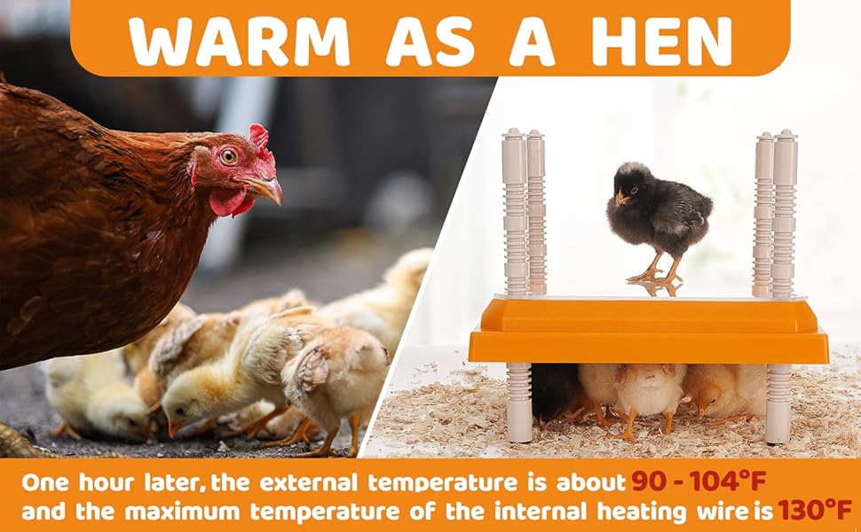 DDSNTY Brooder Heater for Chicks 12” x 12” for 20 Chicks
