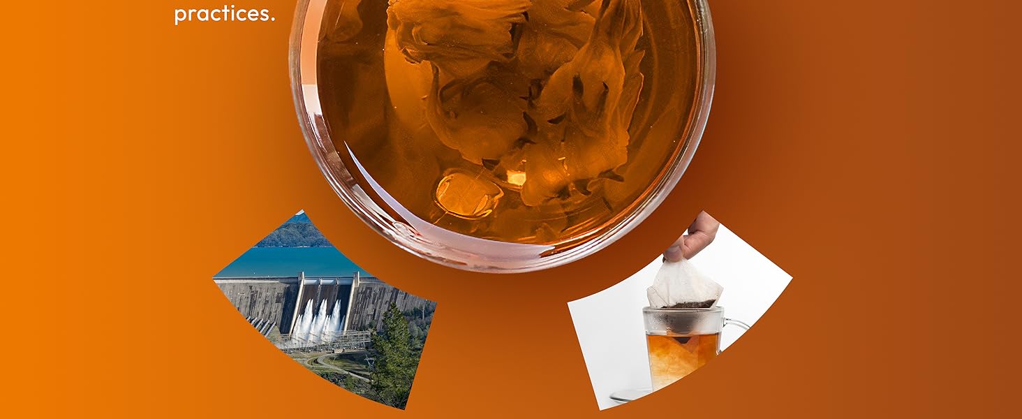 ginger peppermint probiotic tea bags mint organic nausea relief chamomile lemon probiotic gengibre