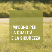 un campo d'erba con testo che dice `` la qualità è una qualità».