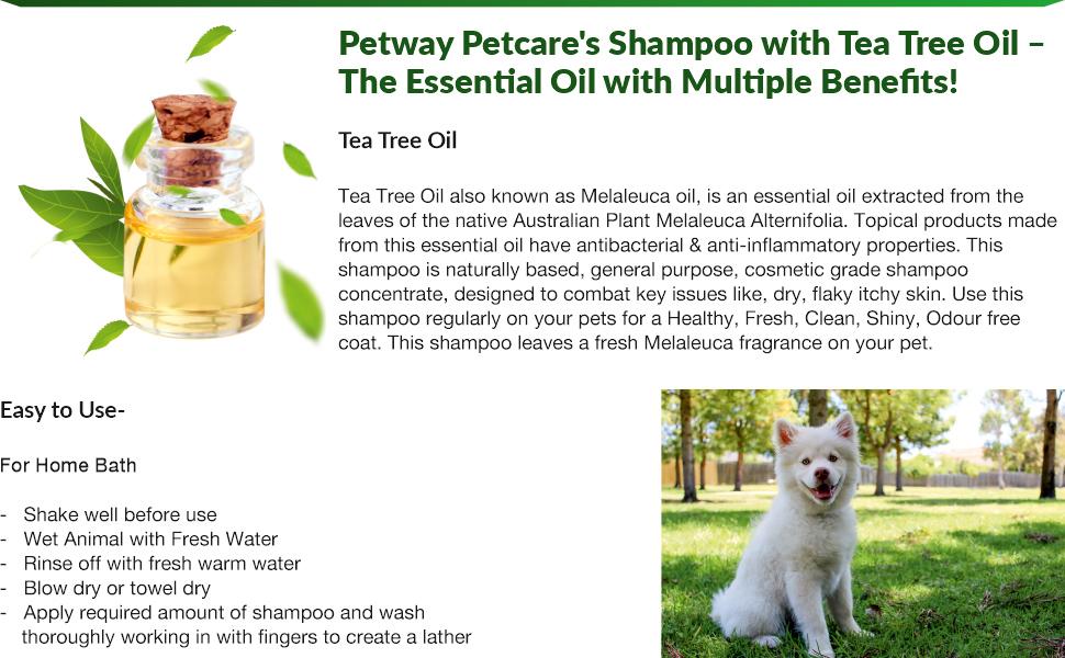 Petway Petcare Tea Tree Shampoo for Dogs, Natural Cleansing and