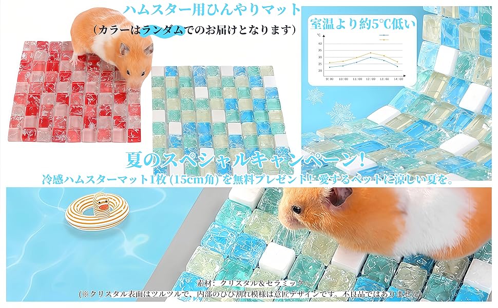 Amazon | キンクマハムスター ケージ 大きい 45cm 透明 ルーミィ