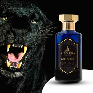 Amazon.com : Alexandria Fragrances Black Panther Perfume