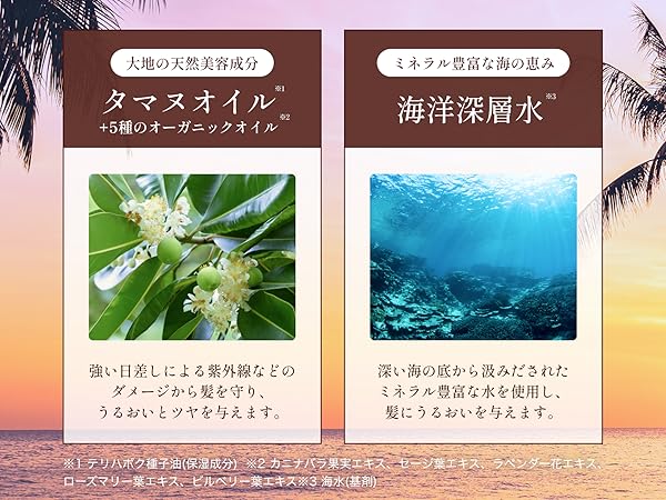 リエラパラシャンプープラス詰め替え(2500ml) リエラパラトリートメントプラス詰め替え(2500ml) ヘアケア リエ