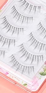 Japanese lashes