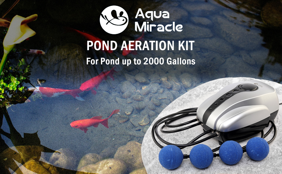 Pond Aeration Kit AquaMiracle Pond Air Pump Kit Koi Pond