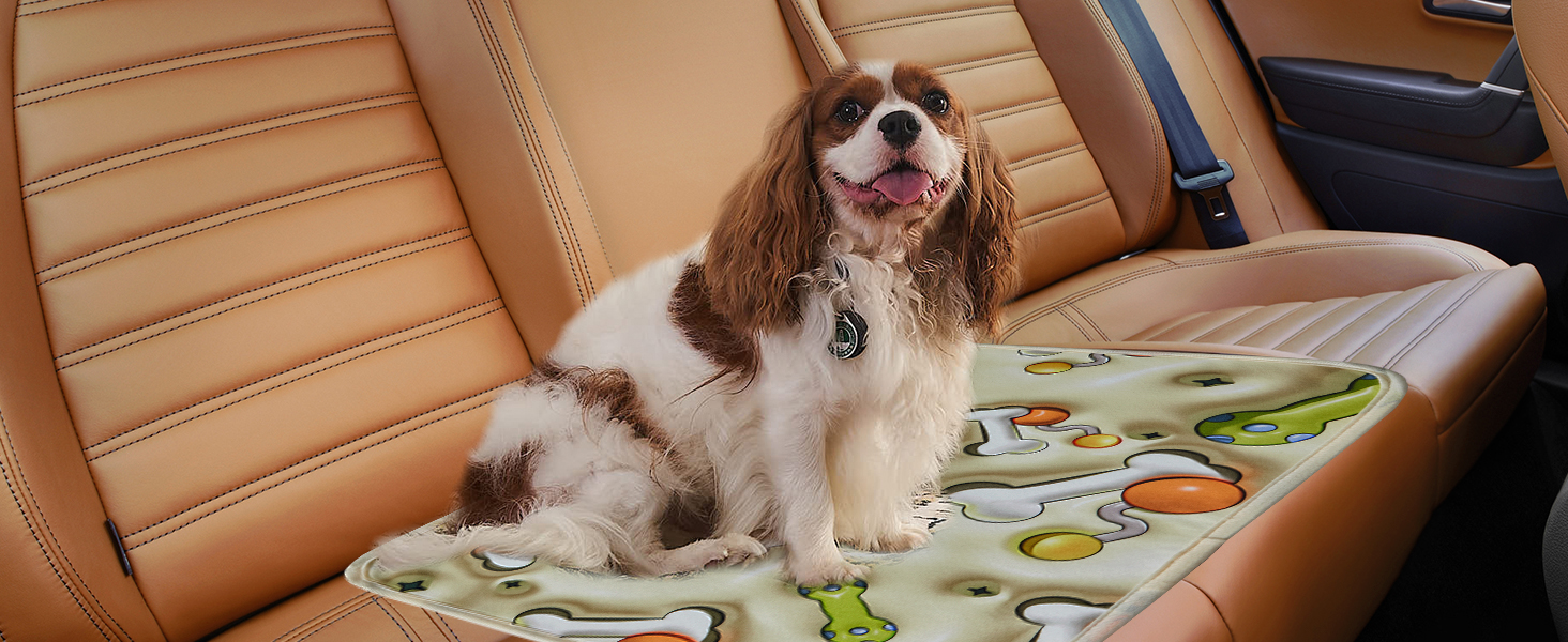 Pee pads for car