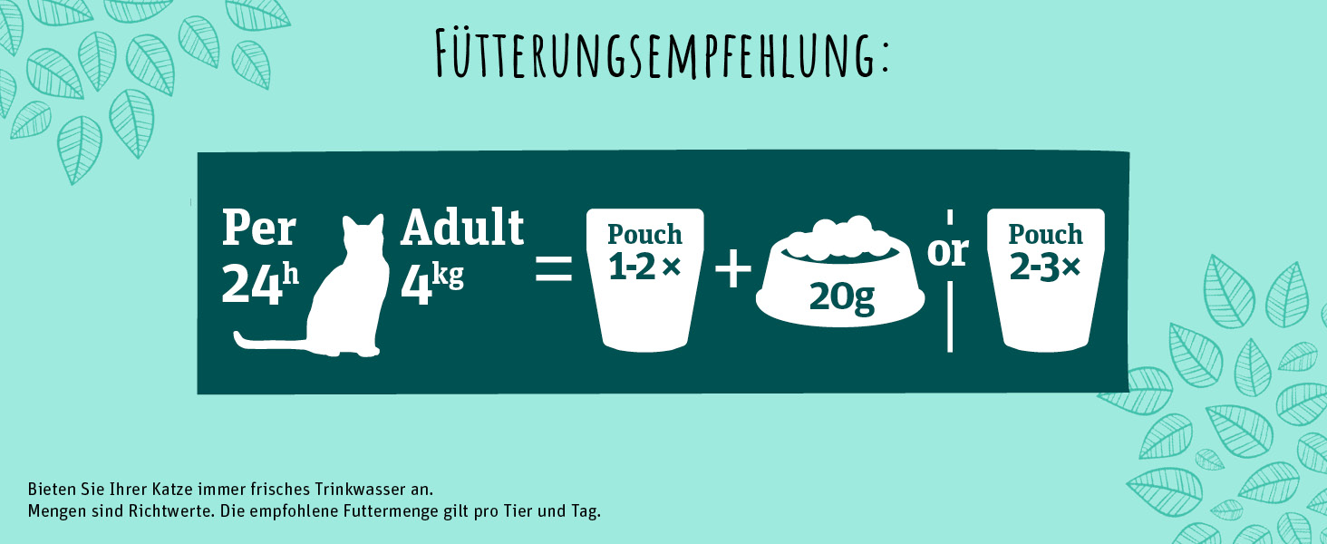 Katzenfutter, Nassfutter für Katzen