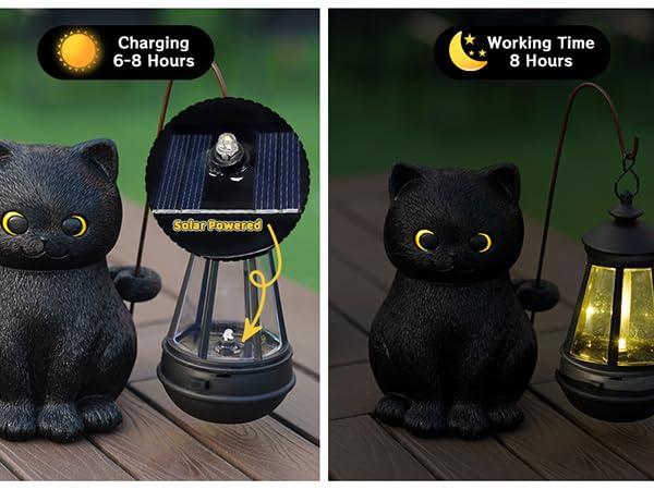 希少☆美品☆神戸の地ブランデーCAT AT NIGHT 456669961.JPG?1532827862