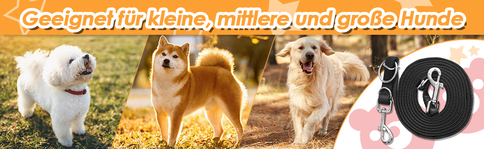 Schwarz Trainingsleine zum Spazierengehen, Camping, Training, Schwimmen