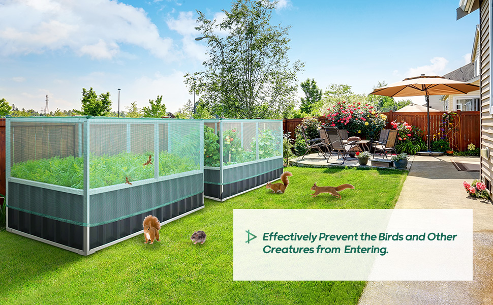 KING BIRD Raised Garden Bed with Garden Anti Bird