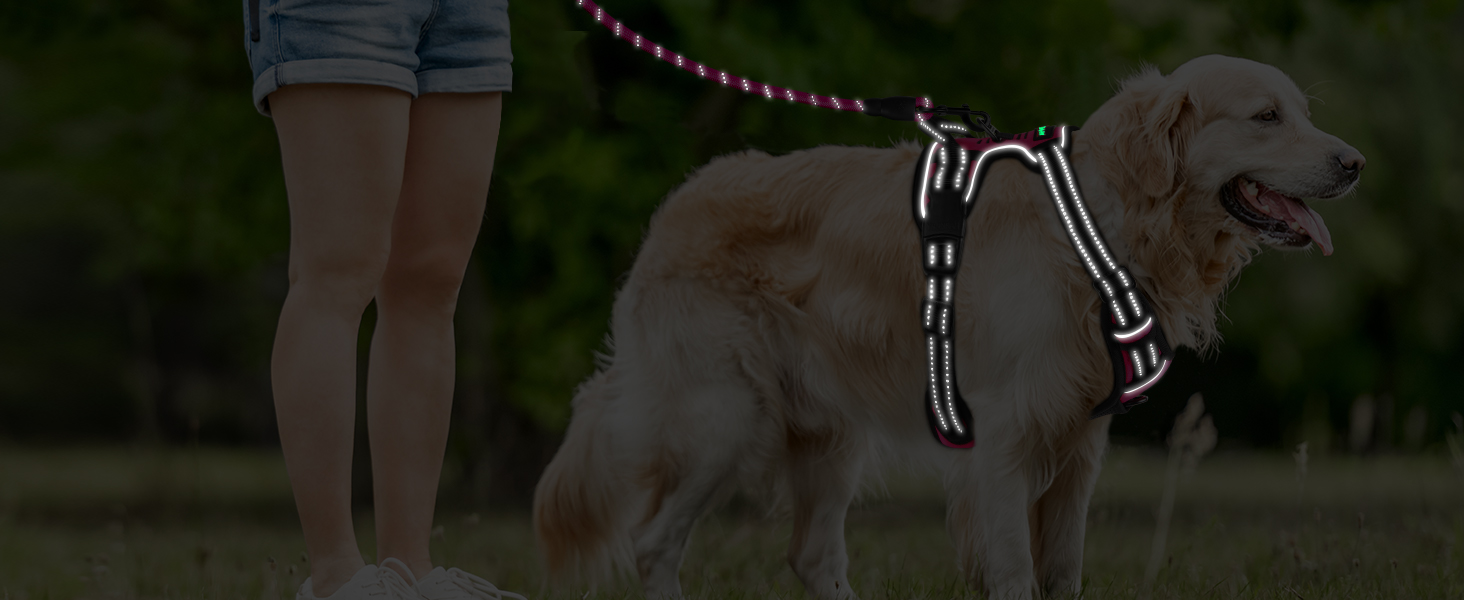 front walking no pull dog harness large breed xl medium husky harness for walking vest harness