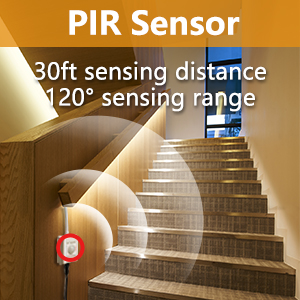 PIR Sensor 
