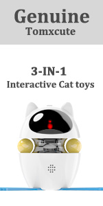 cat toys