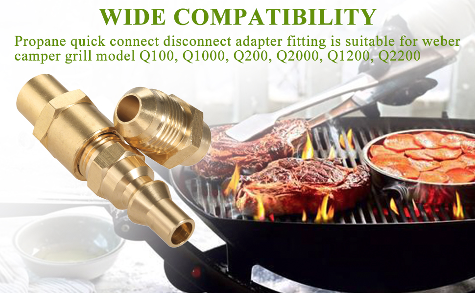 Aupoko 1/4 inch RV Quick Connect Adapter Conversion