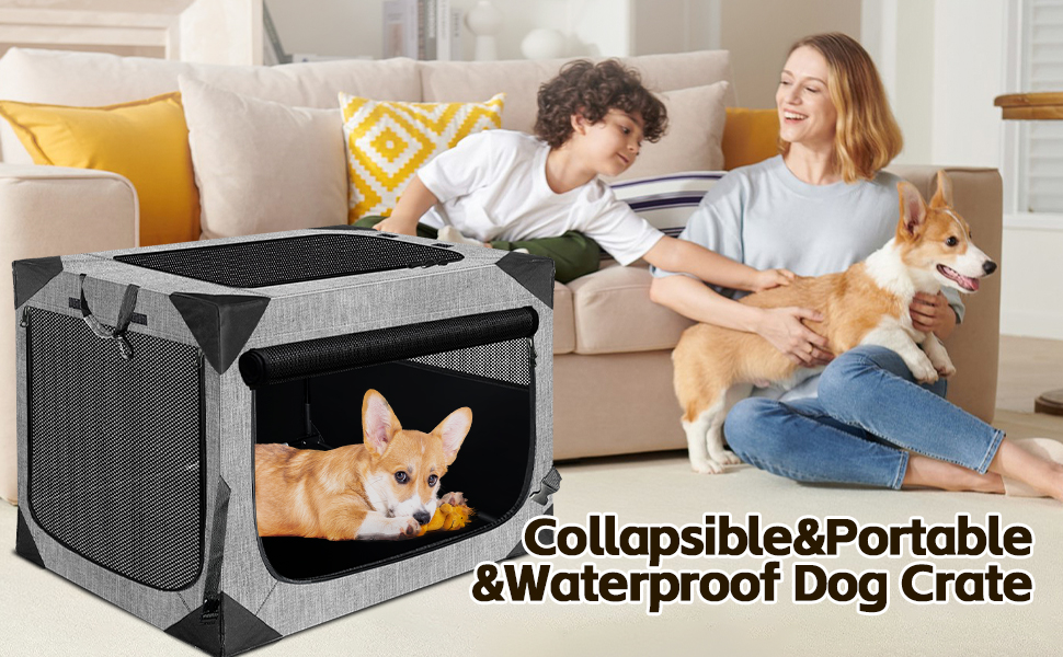 dog crate