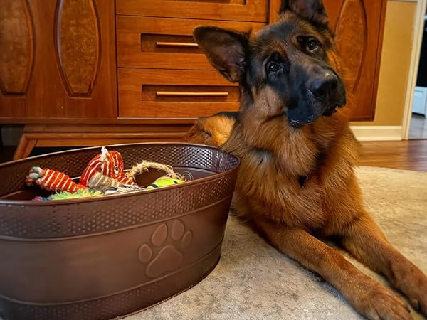 Paw print dog toy bin with dog in real customer photo.