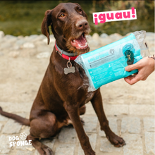 cães felizes banho sabão toalha esponja