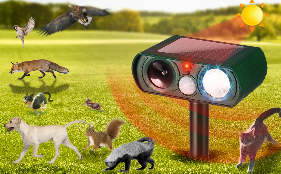 Coldwords Cat Repellent, Garden Cat Repellent Cat Deterrents