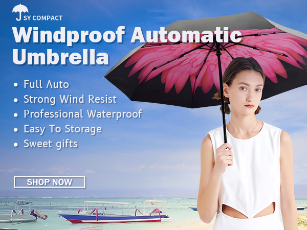 automatic umbrella 2