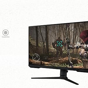 gaming monitor call of duty FPS