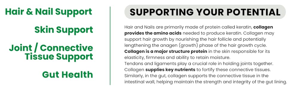 marine collagen benefits for skin, joints, hair, nails, and gut health