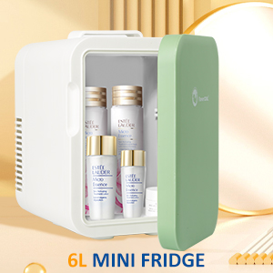 skincare fridge
