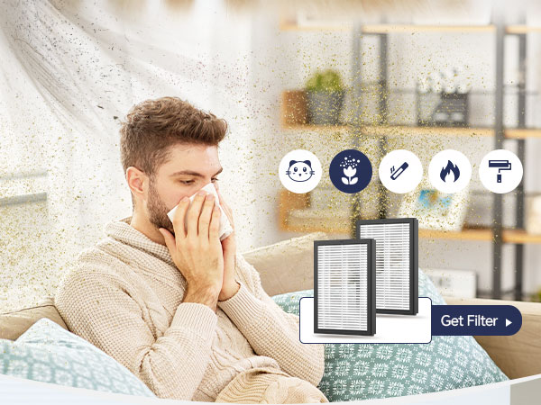 home air purifiers for allergies and dust