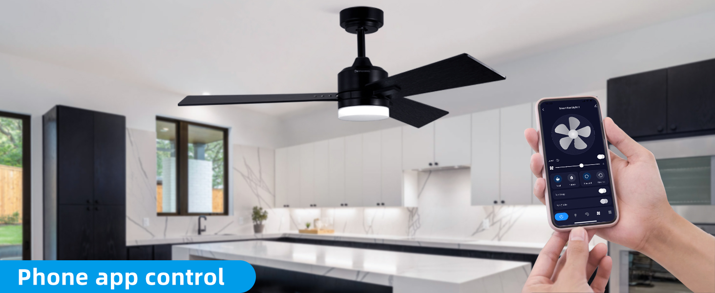 black ceiling fan with APP control for bedroom