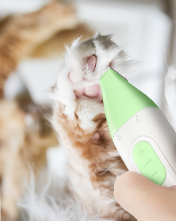 dog hair trimmerdog hair trimmer