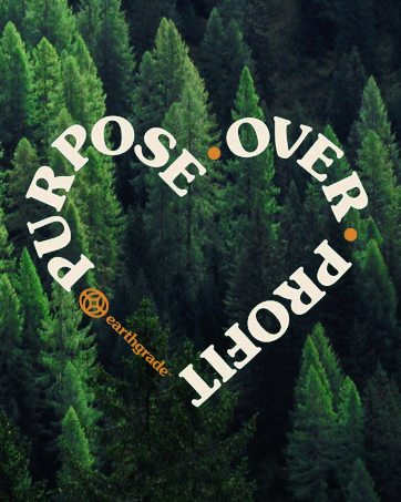 reusable produce bag, sturdy reusable grocery bags, reusable grocery shopping bags, shopping bags