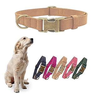 THAIN Soft Leather Dog Collar, Heavy Duty Metal Buckle Padded Dog Collar Quick Release, Adjustable Pet Collar for Small Medium Large Dogs Breeds (Dark Green, M) 16 dog collar