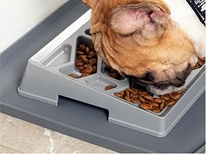 Pet Supplies : Leash Boss Tilted Slow Feeder Dog Bowl