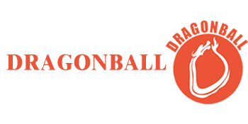 DRAGONBALL air fryer