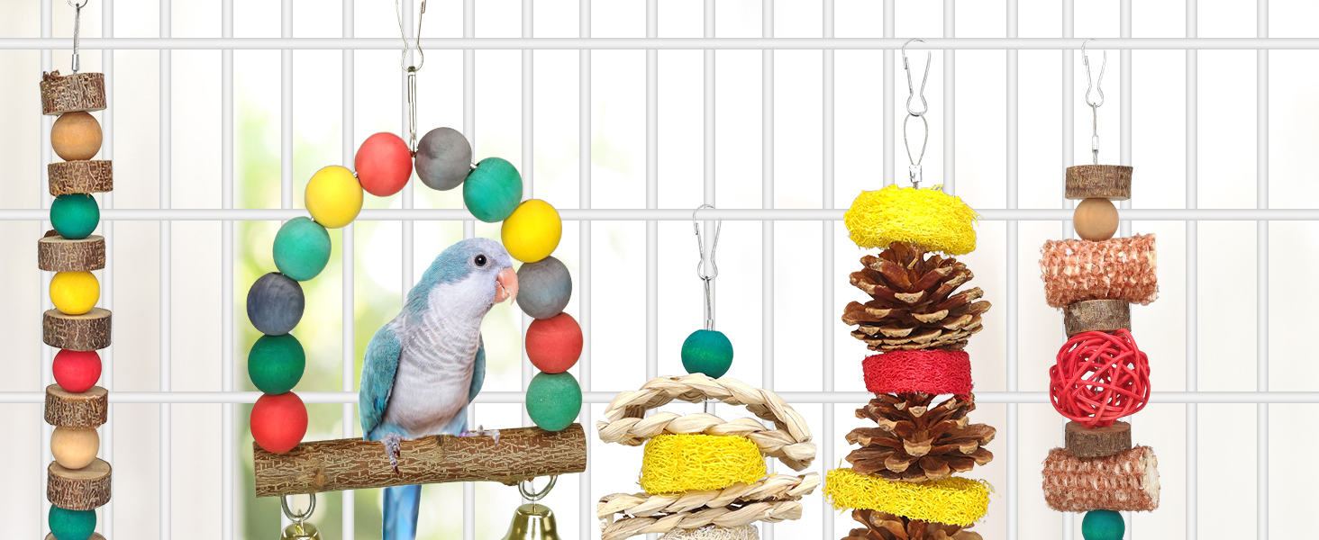bird toys