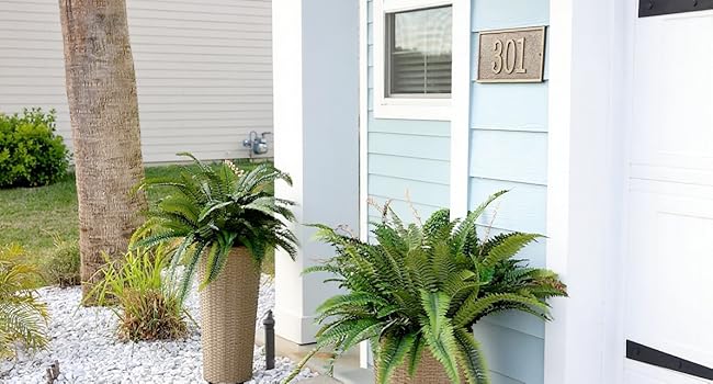 artificial ferns