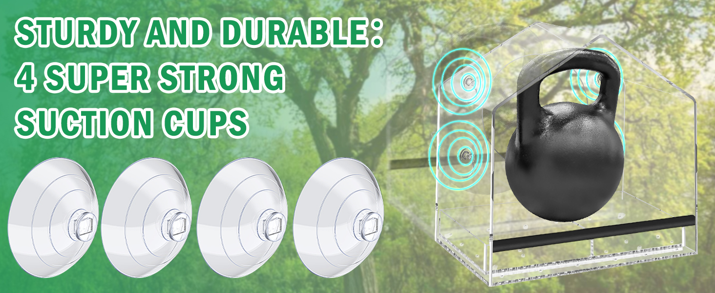 window bird feeder with strong suction cups