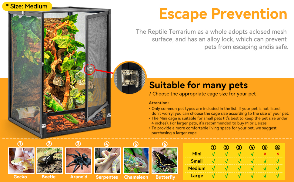 Reptile Terrarium