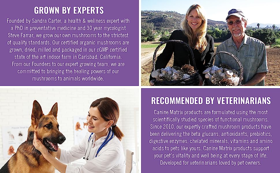 Healthy Pet
