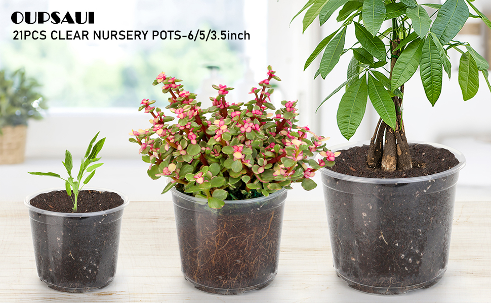 NURSERY POTS