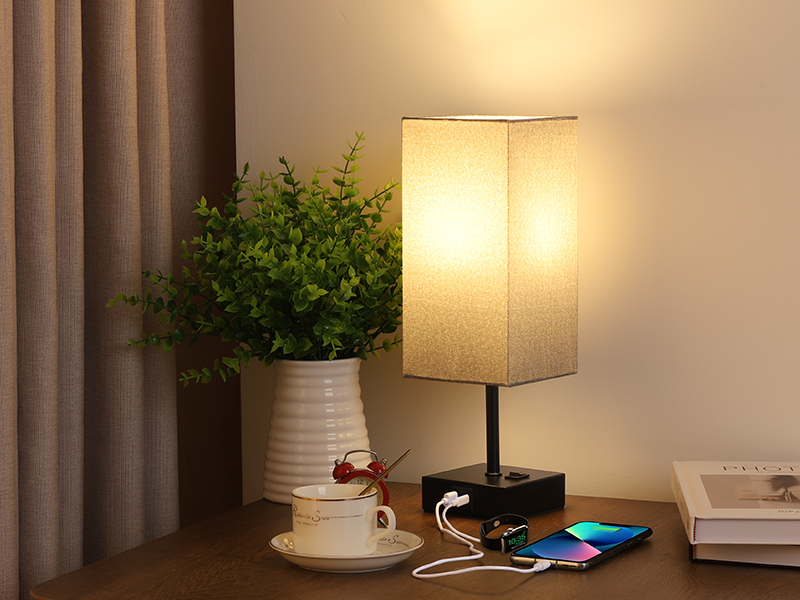 Small Desk Lamp with USB Charging Ports