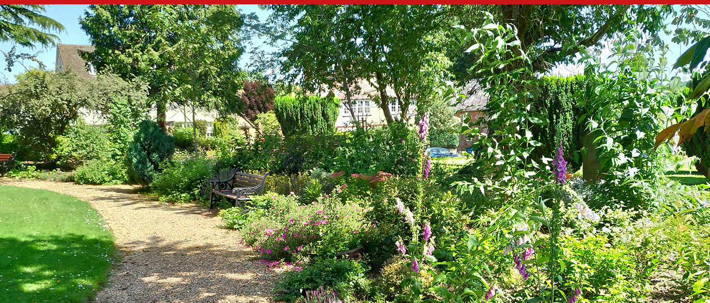 Root Blast Brand Story