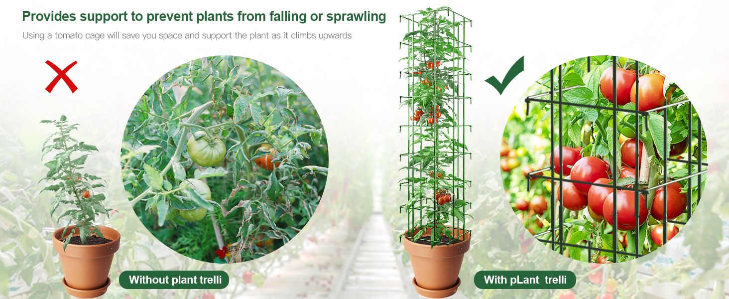 AMAGABELI Garden & Home Plant Support Cage Garden Plant Trellis